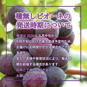 ふるさと納税 先行予約【糖度18度以上!】種無...の詳細画像2