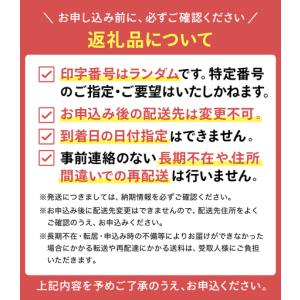 ふるさと納税 【2026】ゴルフボール 1ダー...の詳細画像1