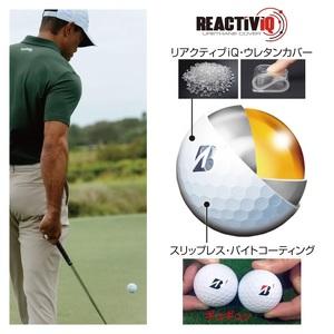 ふるさと納税 【2026】ゴルフボール 1ダー...の詳細画像4