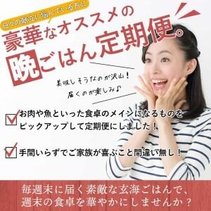 ふるさと納税 人気のおかずを毎週お届け!便利な...の詳細画像3