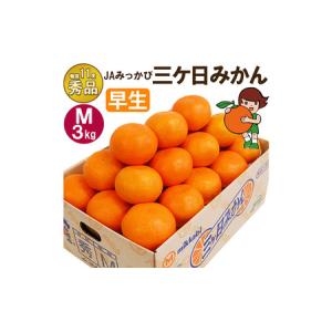ふるさと納税 三ケ日みかん 早生【秀品】Mサイズ3kg(27個前後) ミカン 果物 くだもの フルーツ 甘い 静岡県 浜松市 果物類 柑橘類 静岡県浜松市