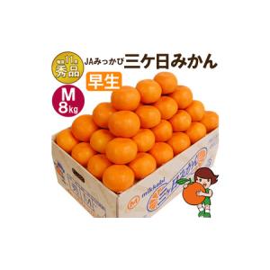 ふるさと納税 三ケ日みかん 早生【秀品】Mサイズ8kg(72個前後) ミカン 果物 くだもの フルーツ 甘い 静岡県 浜松市 果物類 柑橘類 静岡県浜松市
