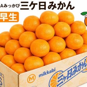 ふるさと納税 三ケ日みかん 早生【秀品】Sサイズ3kg(36個前後) ミカン 果物 くだもの フルーツ 甘い 静岡県 浜松市 果物類 柑橘類 静岡県浜松市