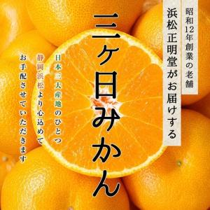 ふるさと納税 三ケ日みかん 早生【秀品】Sサイ...の詳細画像1