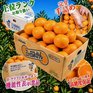 ふるさと納税 三ケ日みかん 早生【秀品】Sサイ...の詳細画像2