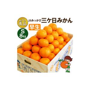 ふるさと納税 三ケ日みかん 早生【秀品】Sサイズ8kg(96個前後) ミカン 果物 くだもの フルーツ 甘い 静岡県 浜松市 果物類 柑橘類 静岡県浜松市