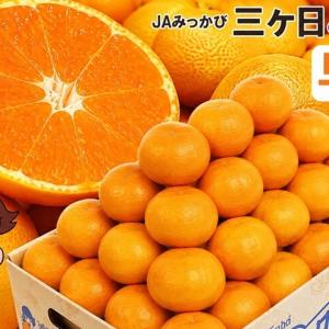 ふるさと納税 みかん 早生 Mサイズ3kg ミカン 果物 くだもの みかん 静岡県浜松市