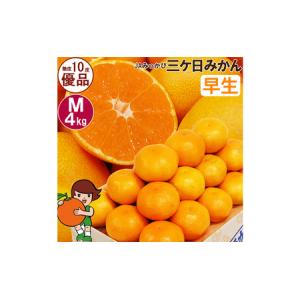 ふるさと納税 みかん 早生 Mサイズ4kg ミカン 果物 くだもの みかん 静岡県浜松市