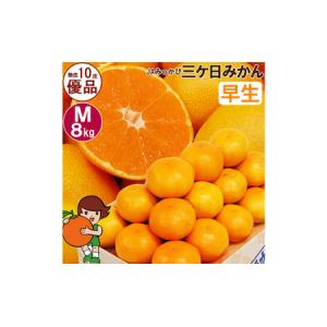 ふるさと納税 みかん 早生 Mサイズ8kg ミカン 果物 くだもの みかん 静岡県浜松市