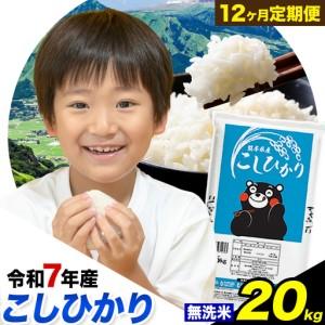 ふるさと納税 【12ヶ月定期便】 令和7年産 定期便 こしひかり 無洗米 定期便 20kg 精米 熊本県産(南阿蘇村産含む) 南阿蘇村《お申込み翌月か.. 熊本県南阿蘇村