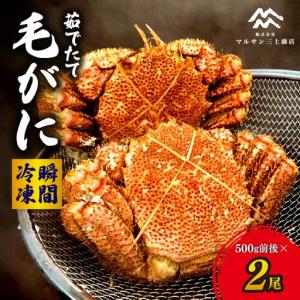 ふるさと納税 【茹でたて瞬間冷凍】毛ガニ 500g前後×2尾 北海道 札幌市 毛蟹 北海道札幌市