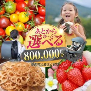 ふるさと納税 【あとから選べる】 愛知県愛西市ふるさとギフト 80万円分[AECY016] 愛知県愛西市