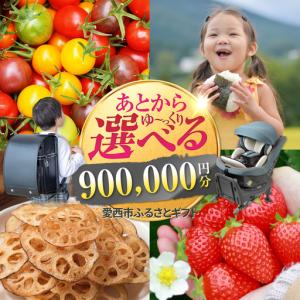 ふるさと納税 【あとから選べる】 愛知県愛西市ふるさとギフト 90万円分[AECY017] 愛知県愛西市