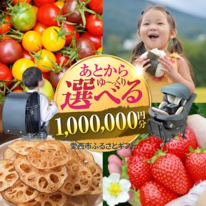 ふるさと納税 【あとから選べる】 愛知県愛西市ふるさとギフト 100万円分[AECY018] 愛知県愛西市