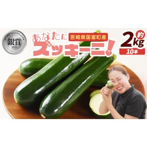 ふるさと納税 ＜野菜ソムリエサミット銀賞受賞！ あなたにズッキーニ約2kg（10本）＞1か月程度で出荷【 野菜 青果 国産 生食 輪切り ソテー サラ.. 宮崎県国富町｜ふるなび(ふるさと納税)