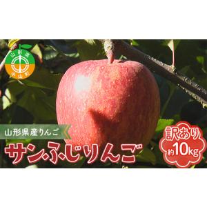 ふるさと納税 《先行予約》【訳あり】【家庭用】山...の商品画像