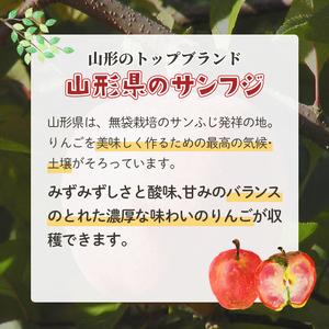 ふるさと納税 《先行予約》【訳あり】【家庭用】...の詳細画像1