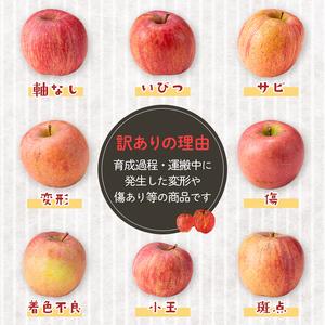 ふるさと納税 《先行予約》【訳あり】【家庭用】...の詳細画像3