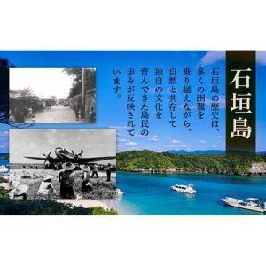 ふるさと納税 石垣市史 八重山史料集3 豊川家...の詳細画像4