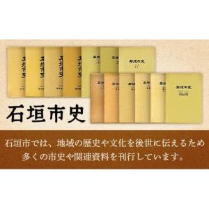ふるさと納税 石垣市史各論編・考古 KY-13...の詳細画像3