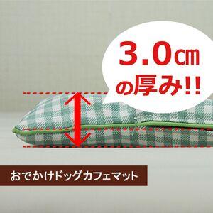 ふるさと納税 高反発ブレスエアー製 おでかけド...の詳細画像1