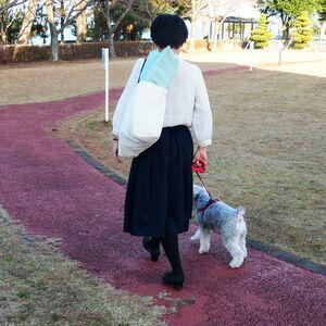 ふるさと納税 高反発ブレスエアー製 おでかけド...の詳細画像2