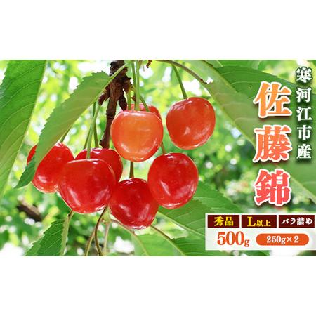 ふるさと納税 令和8年産 さくらんぼ「 佐藤錦 」500g (250g×2パック) 秀品 Lサイズ以...