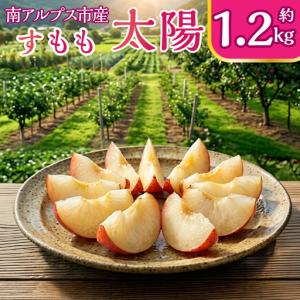 ふるさと納税 ＜2026年発送先行予約＞すもも太陽 約1.2kg ALPCZ008 山梨県南アルプス市