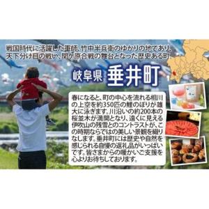 ふるさと納税 ≪令和7年産≫【12か月定期便】...の詳細画像3