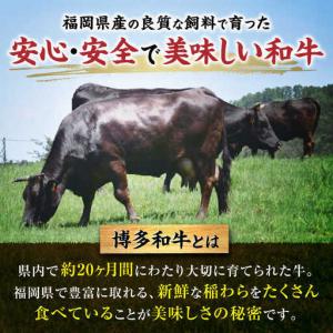 ふるさと納税 【牛半頭丸ごとオーダーカット!】...の詳細画像4