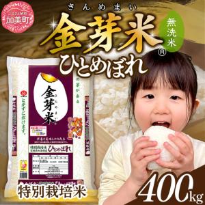 ふるさと納税 【新米予約】 金芽米 400kg(5kg×80袋) 金芽米 宮城県加美町