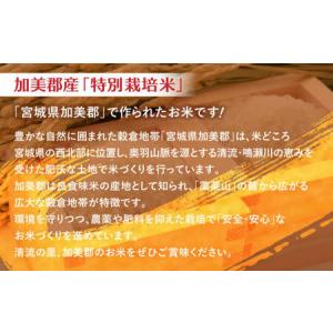 ふるさと納税 【新米予約】 金芽米 400kg...の詳細画像3
