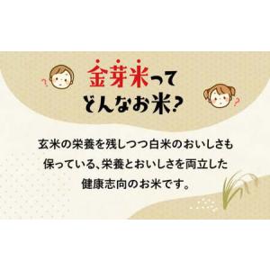 ふるさと納税 【新米予約】 金芽米 400kg...の詳細画像4