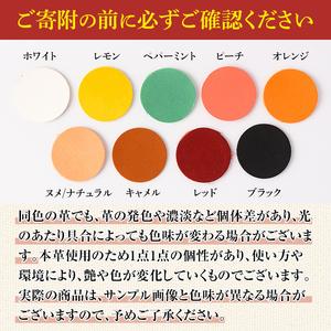 ふるさと納税 <ポスト投函・ランダム9色>国産...の詳細画像3