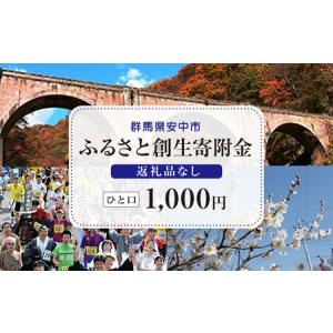 ふるさと納税 【返礼品なし】群馬県安中市 ふるさ...の商品画像