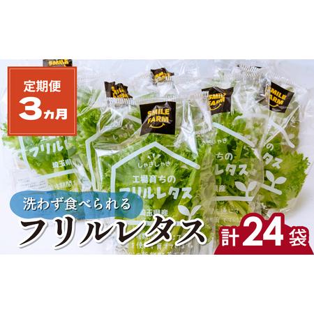 ふるさと納税 フリルレタス 8袋(80〜110g/袋)×3ヶ月 計24袋 定期便 | レタス 埼玉県...
