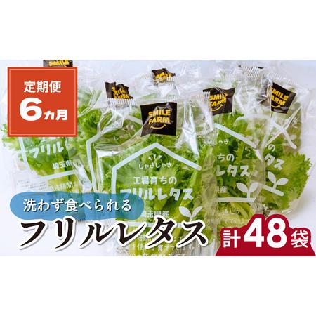 ふるさと納税 フリルレタス 8袋(80〜110g/袋)×6ヶ月 計48袋 定期便 | レタス 埼玉県...