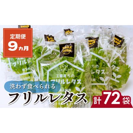 ふるさと納税 フリルレタス 8袋(80〜110g/袋)×9ヶ月 計72袋 定期便 | レタス 埼玉県...