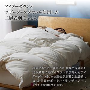 ふるさと納税 【甲州羽毛本掛けふとん】銀の糸×...の詳細画像3