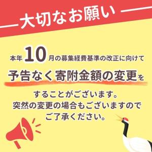 ふるさと納税 kokiku シングル 羽毛布団...の詳細画像1