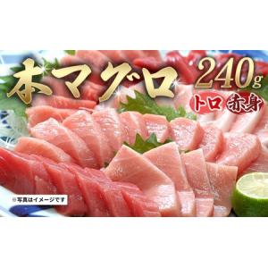 ふるさと納税 本マグロ（養殖）トロ＆赤身セット 240g（串本町×北山村）