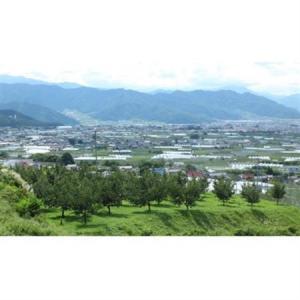 ふるさと納税 【2026年先行受付】信州産地直...の詳細画像2