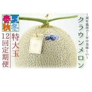 ふるさと納税 【12ヶ月定期便】クラウンメロン（白等級）特大玉　1玉入 静岡県袋井市