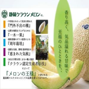 ふるさと納税 メロン 12ヶ月 定期便 クラウ...の詳細画像2