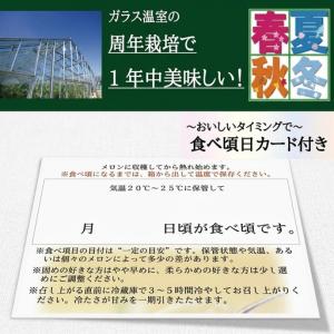 ふるさと納税 メロン 12ヶ月 定期便 クラウ...の詳細画像4