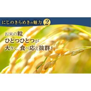 ふるさと納税 【先行予約】新米 米 10kg(...の詳細画像2