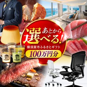 ふるさと納税 【あとから選べる！】横須賀市 ふるさとギフト 100万円分 牛肉 葉山牛 プリン スイーツ 干物 マグロ 米 オフィスチェア 定期便.. 神奈川県横須賀市