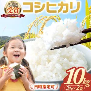 ふるさと納税 コシヒカリ 10kg 令和7年産 ...の商品画像