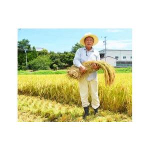 ふるさと納税 コシヒカリ 10kg 令和7年産...の詳細画像2