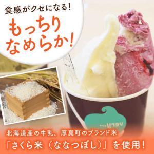 ふるさと納税 【全12回定期便】落葉樹色のジェ...の詳細画像1